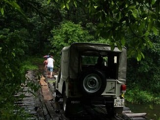 Gavi Jungle Jeep Safari